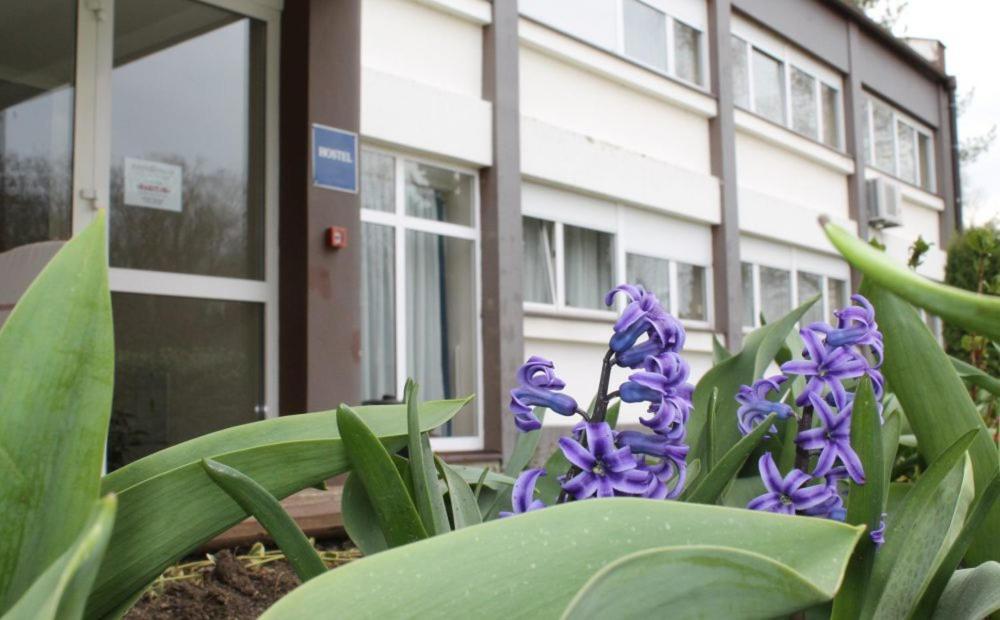 Hostel Rakitje-Rakitje Экстерьер фото